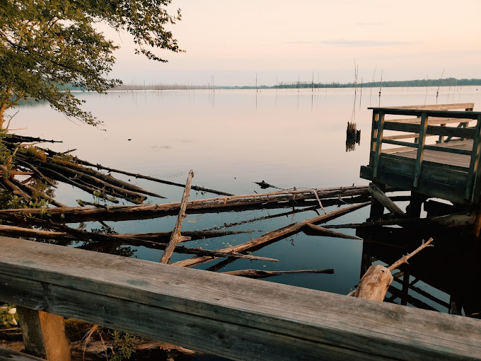 Cane Creek State Park